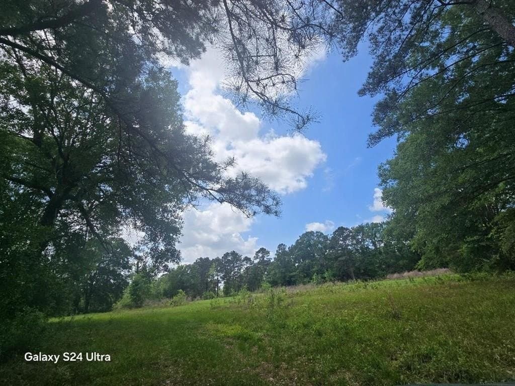 33.25 acres in Texas County