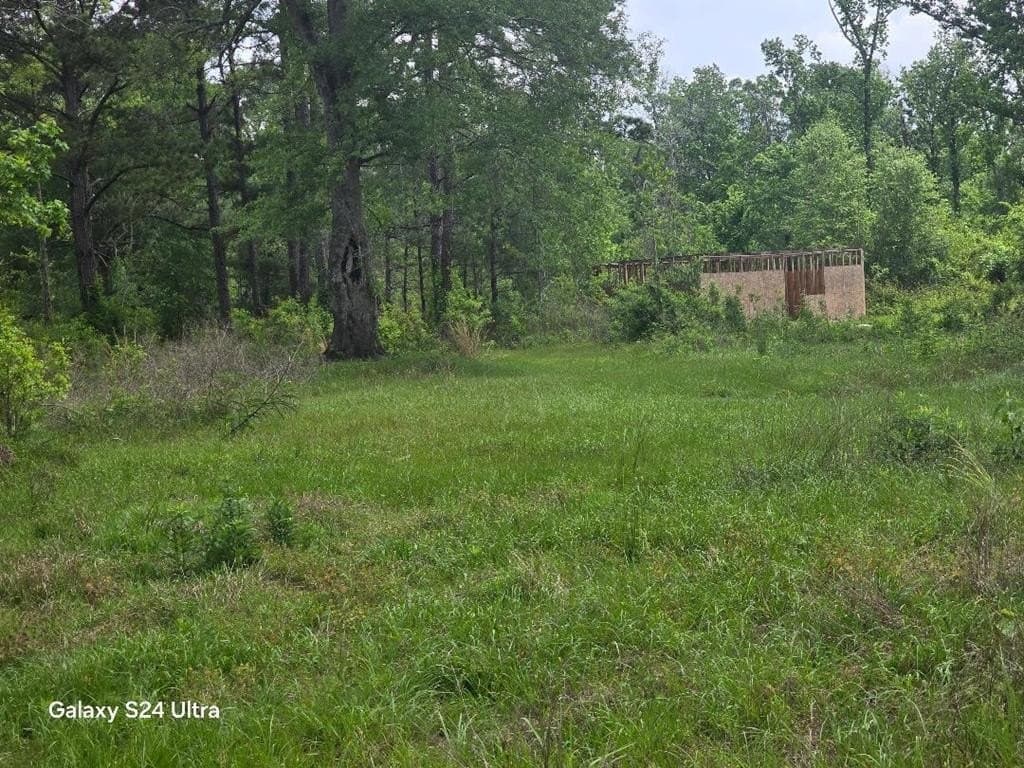 33.25 acres in Texas County gallery image 2