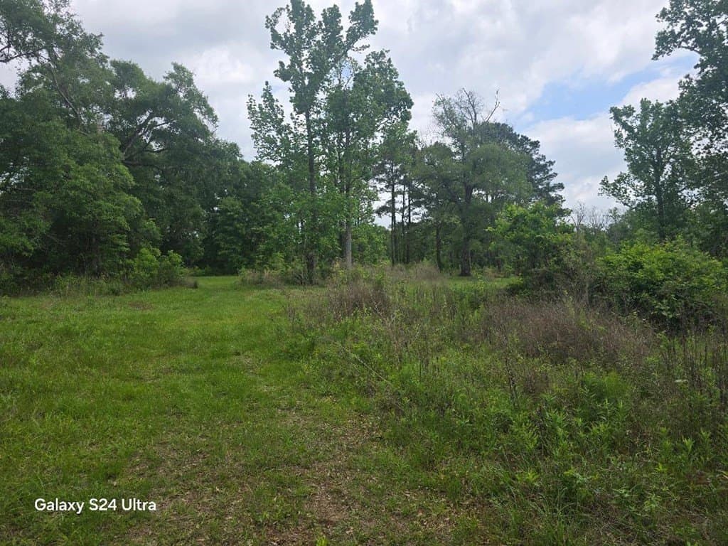 33.25 acres in Texas County gallery image 3