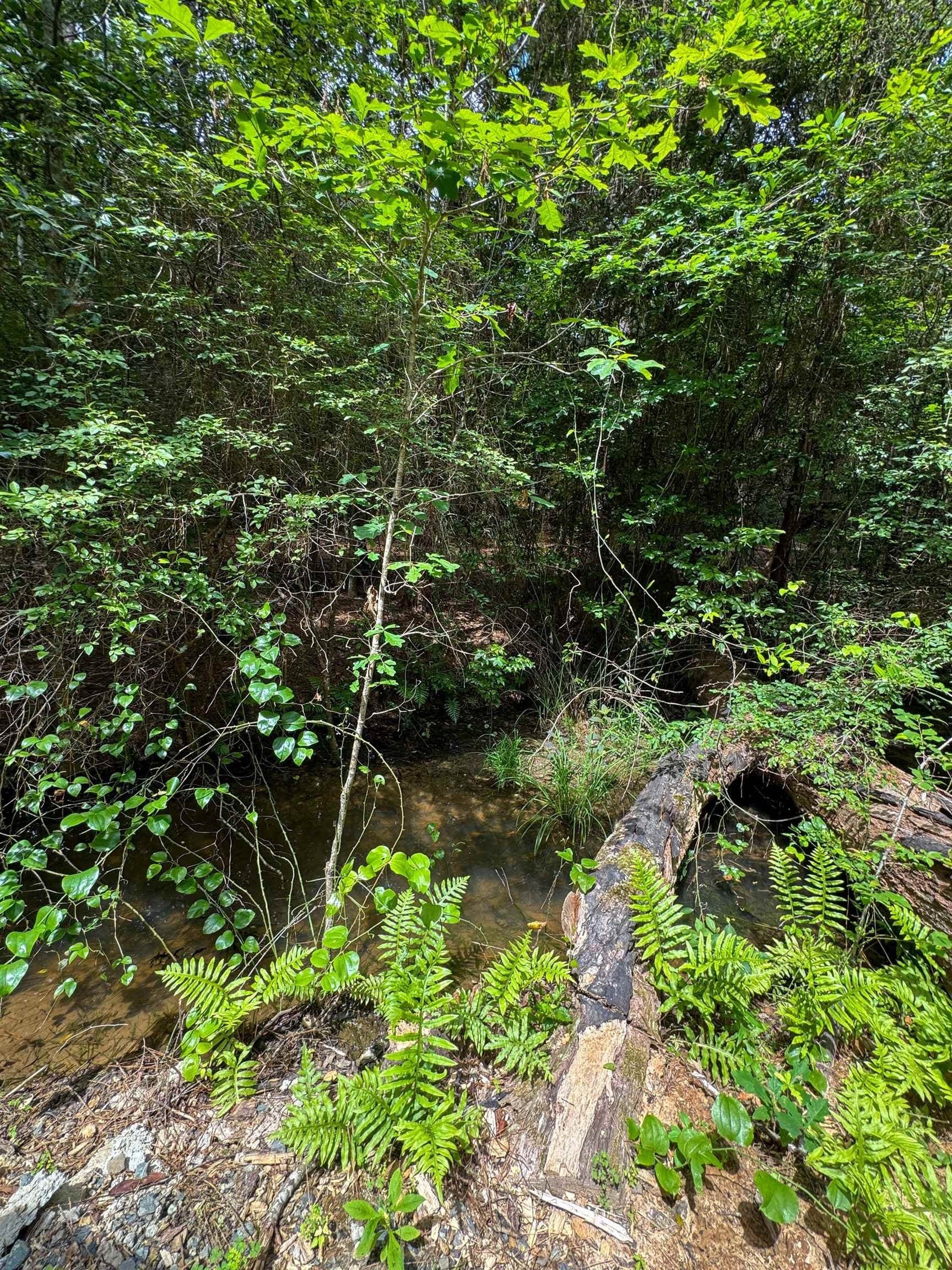 27.74 acres in Cass County - photo 47