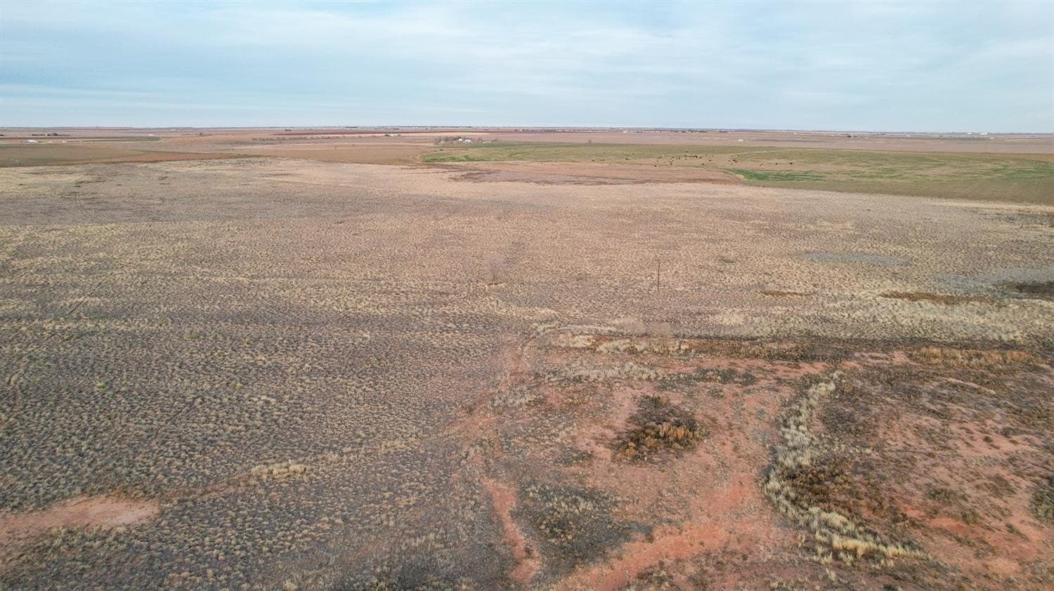 10.08 acres in Lubbock County - photo 6