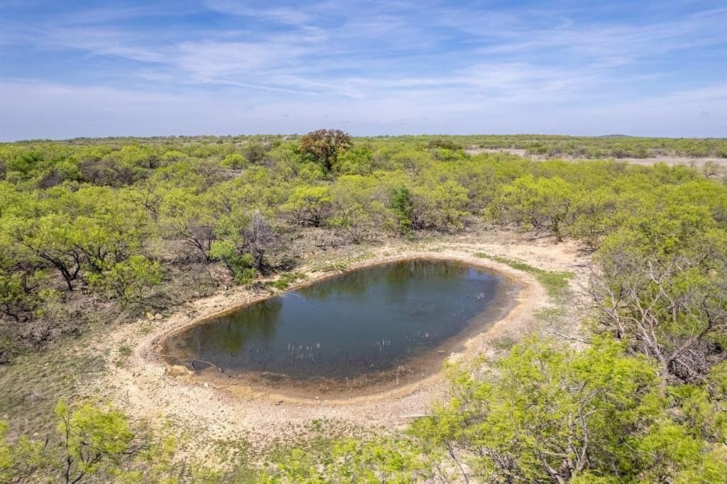 189 acres in Coleman County gallery image 4