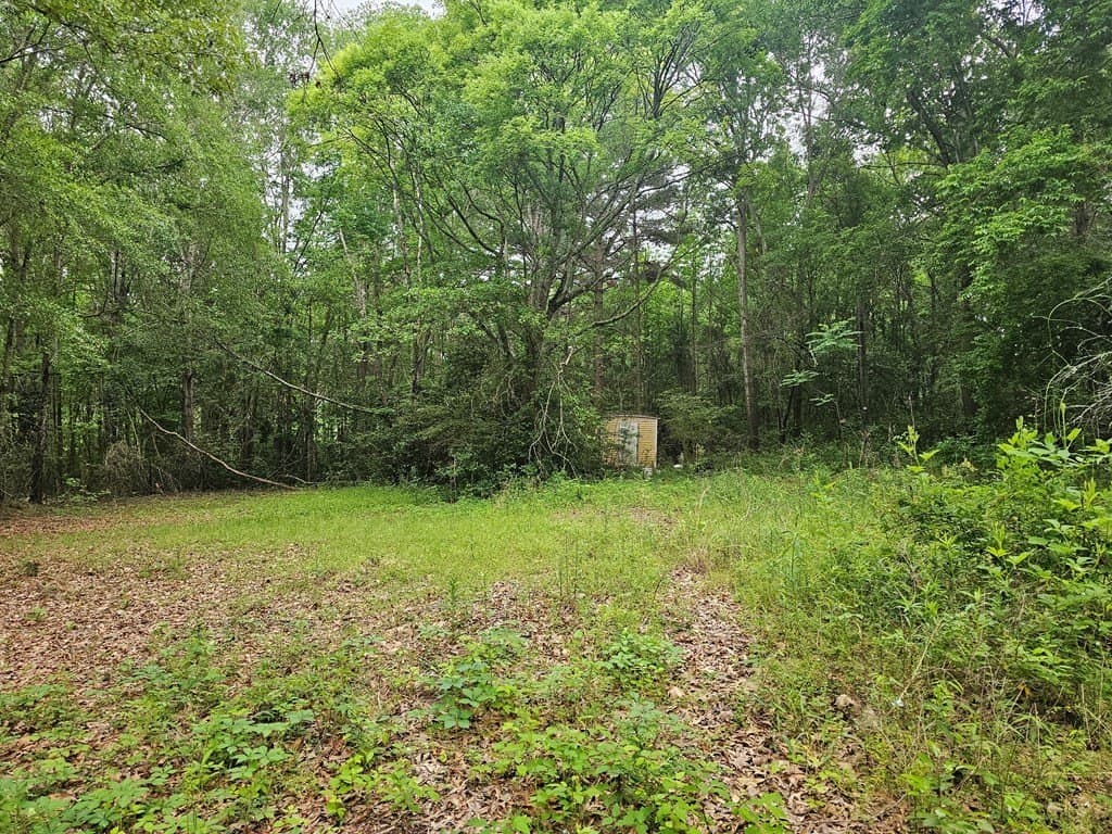 0.52 acres in Texas County gallery image 4