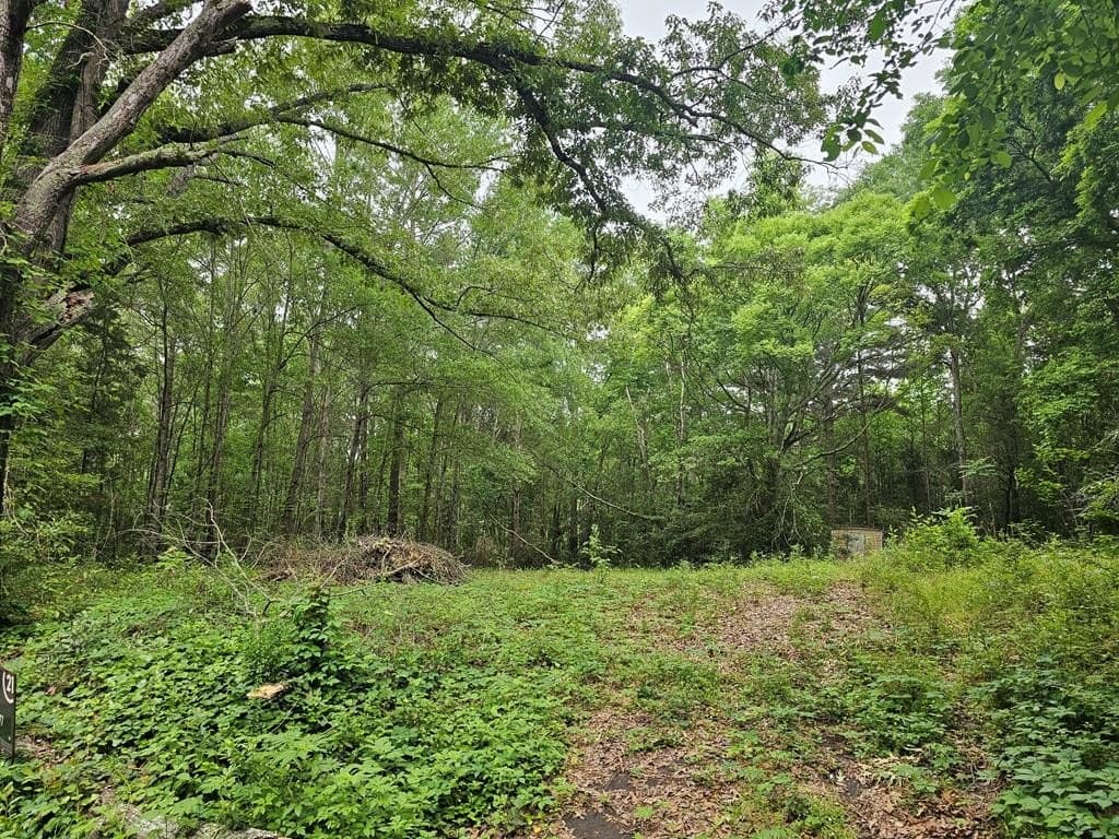 0.52 acres in Texas County