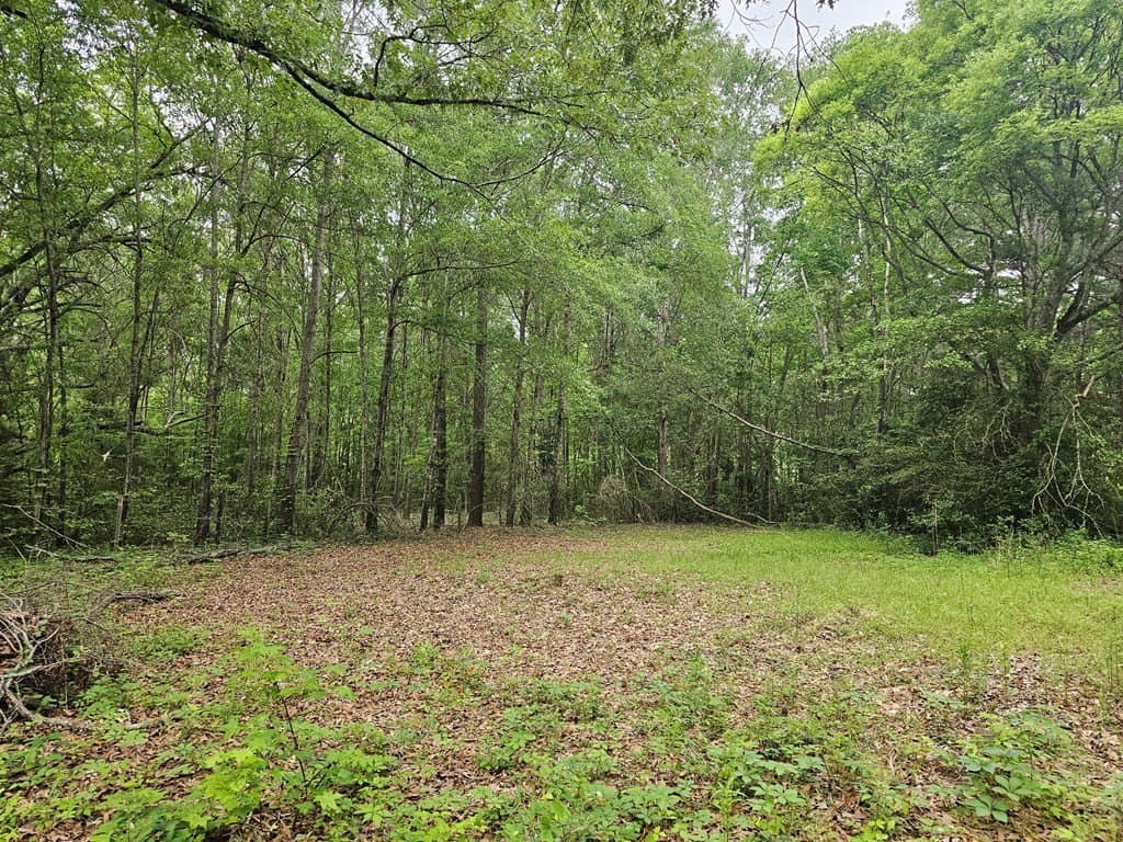 0.52 acres in Texas County gallery image 3