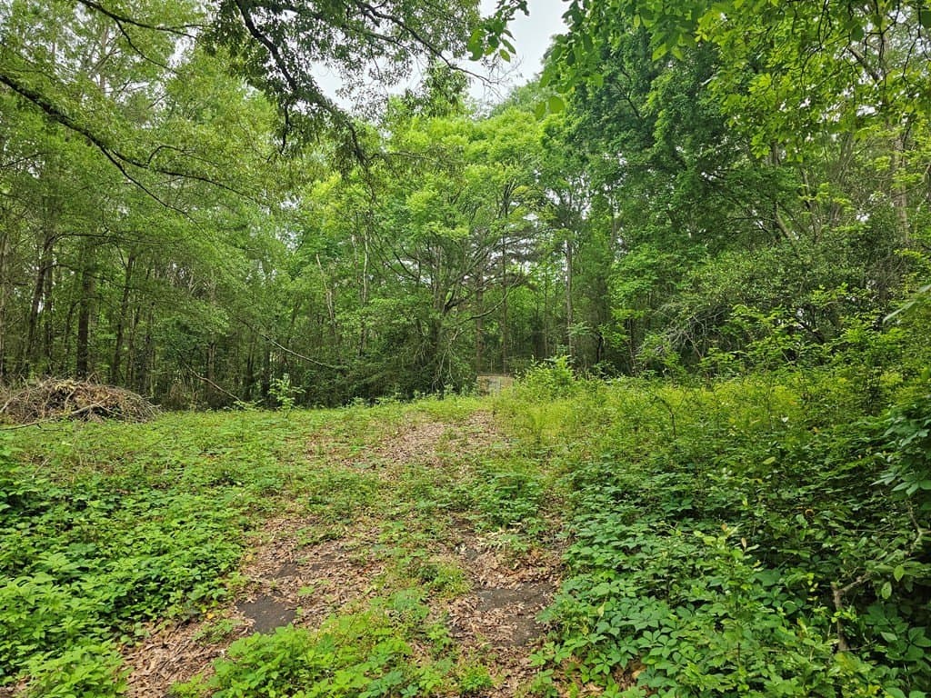 0.52 acres in Texas County gallery image 2