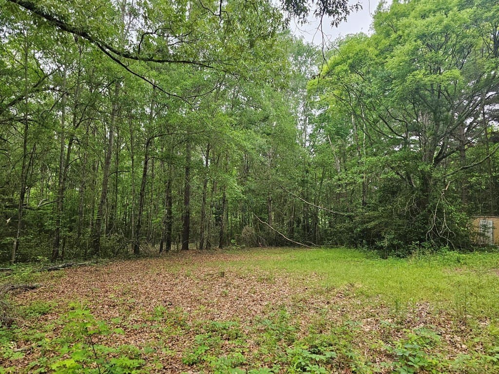 0.52 acres in Texas County featured view