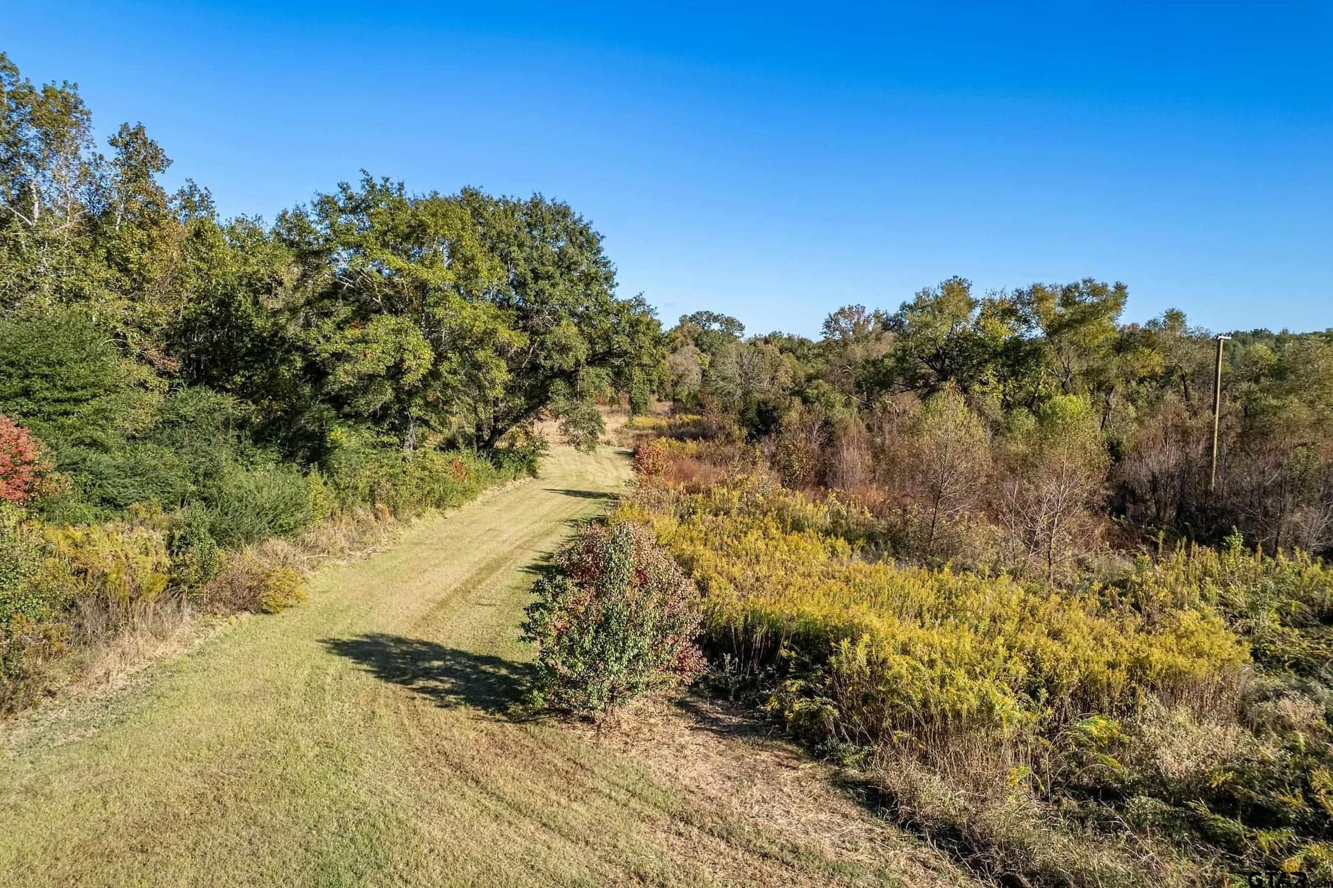 19.16 acres in Gregg County - photo 47
