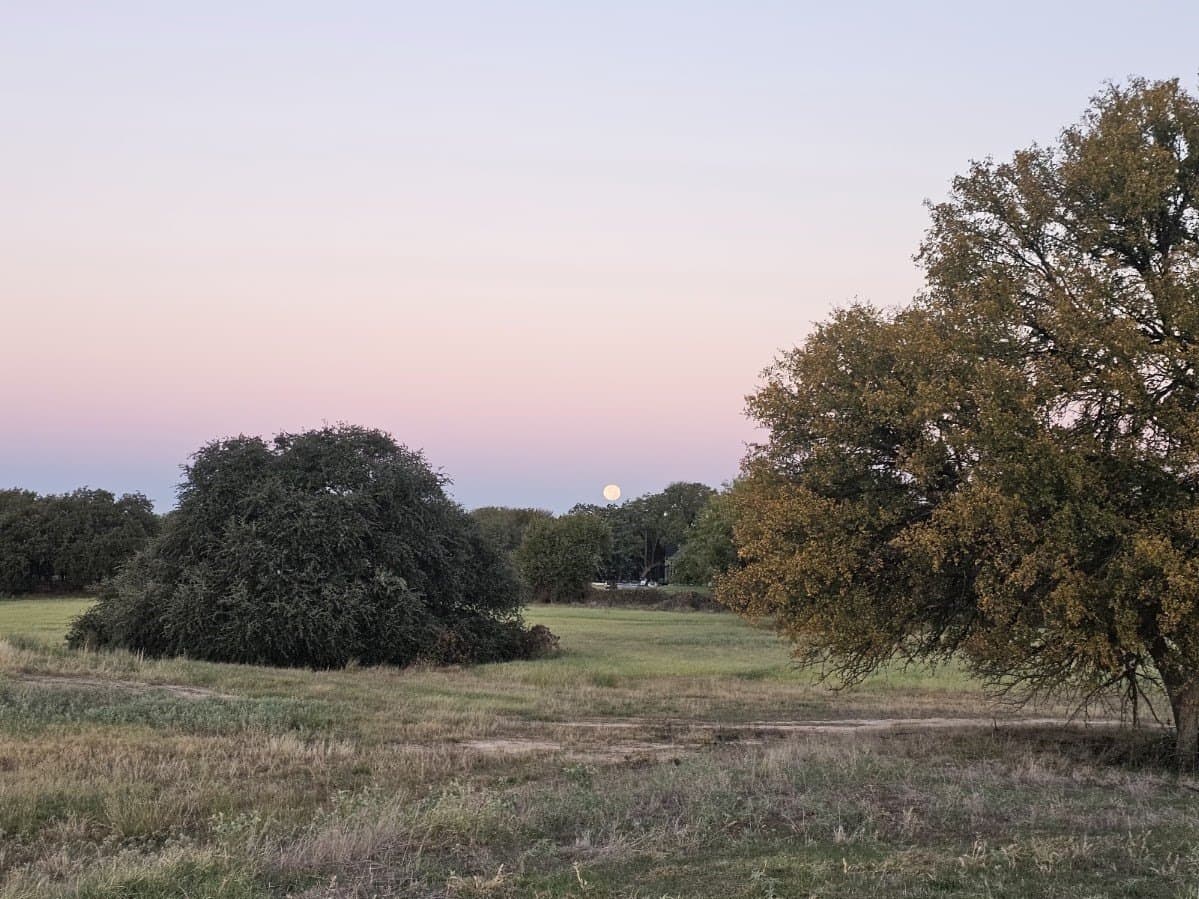 9.26 acres in Parker County - photo 23