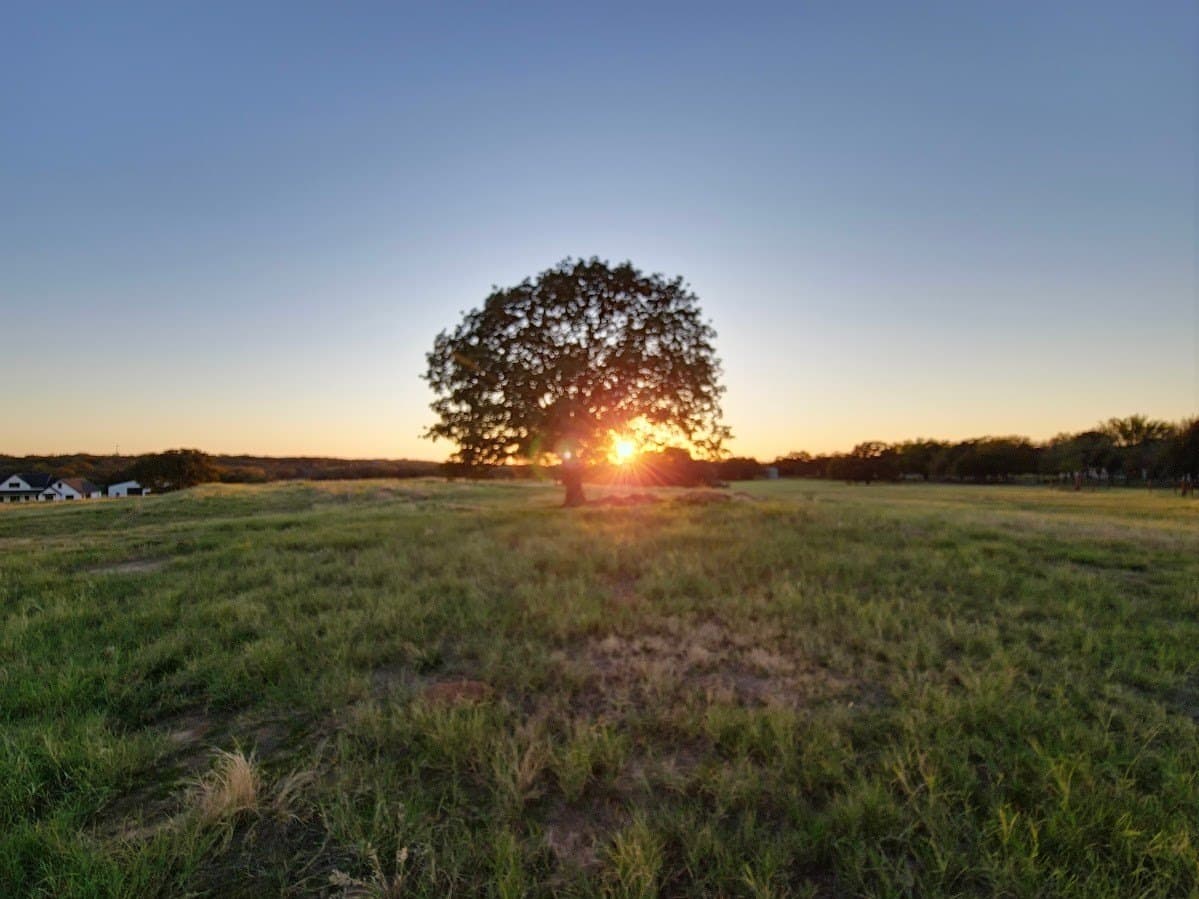 9.26 acres in Parker County gallery image 4