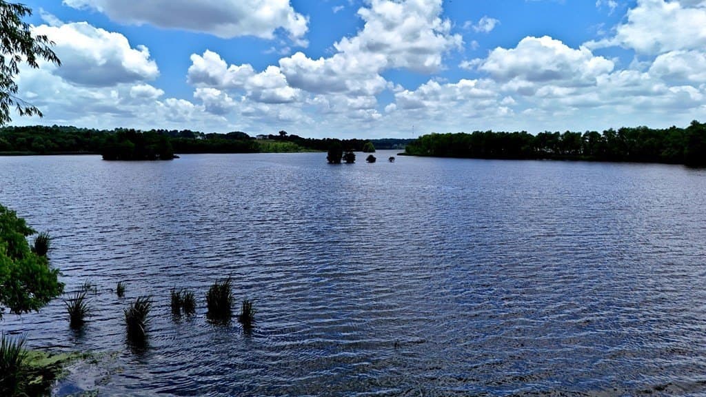 1.63 acres in HENDERSON County gallery image 2