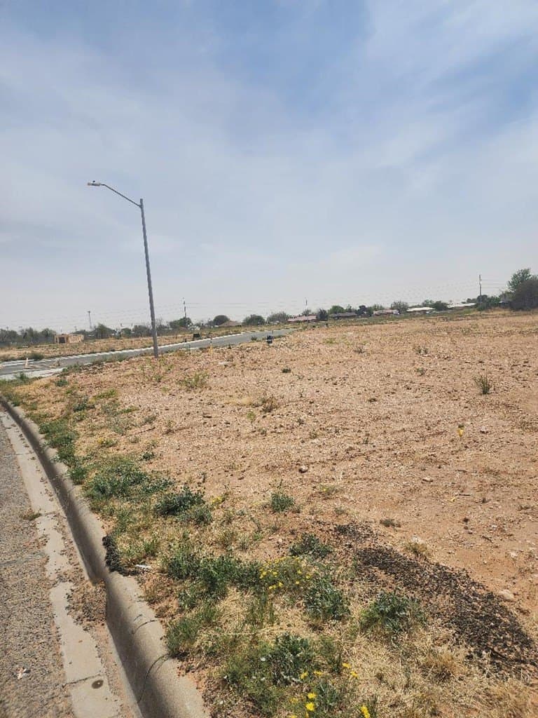 0.17 acres in Midland County - photo 12