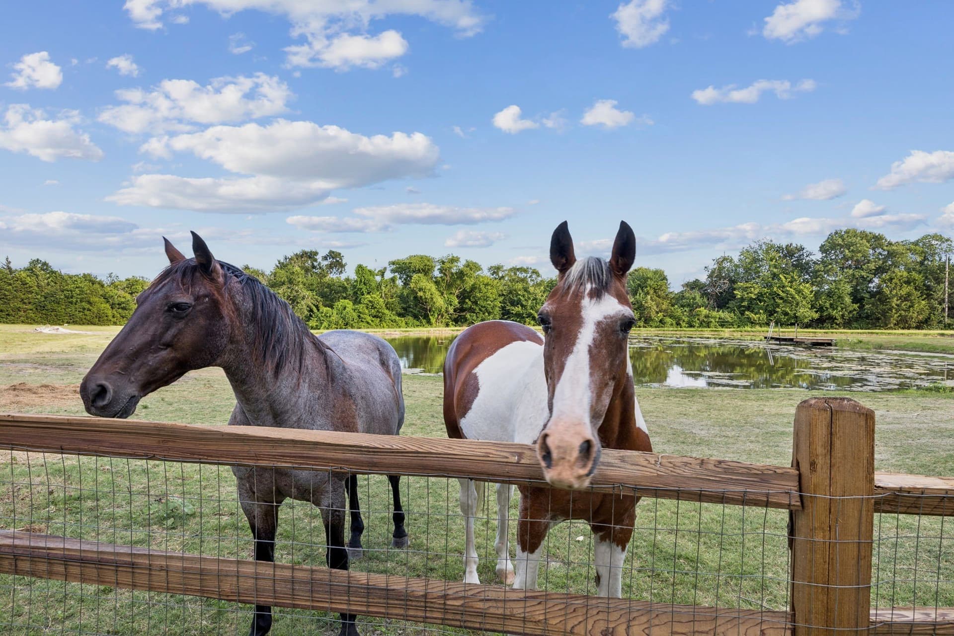 10 acres in Collin County - photo 2