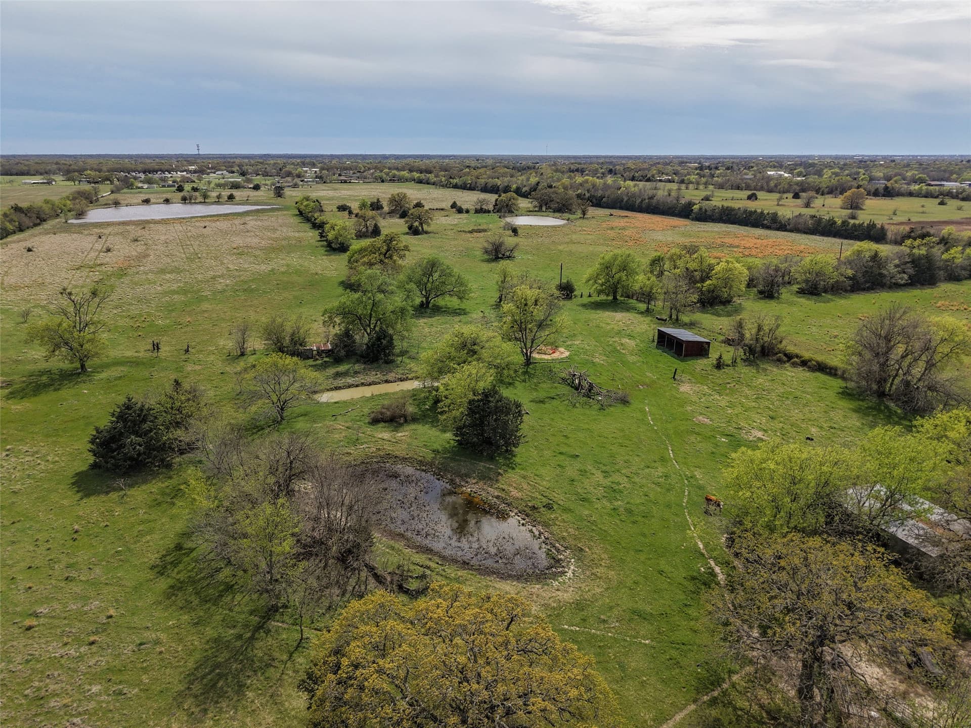 89.95 acres in Hunt County - photo 17