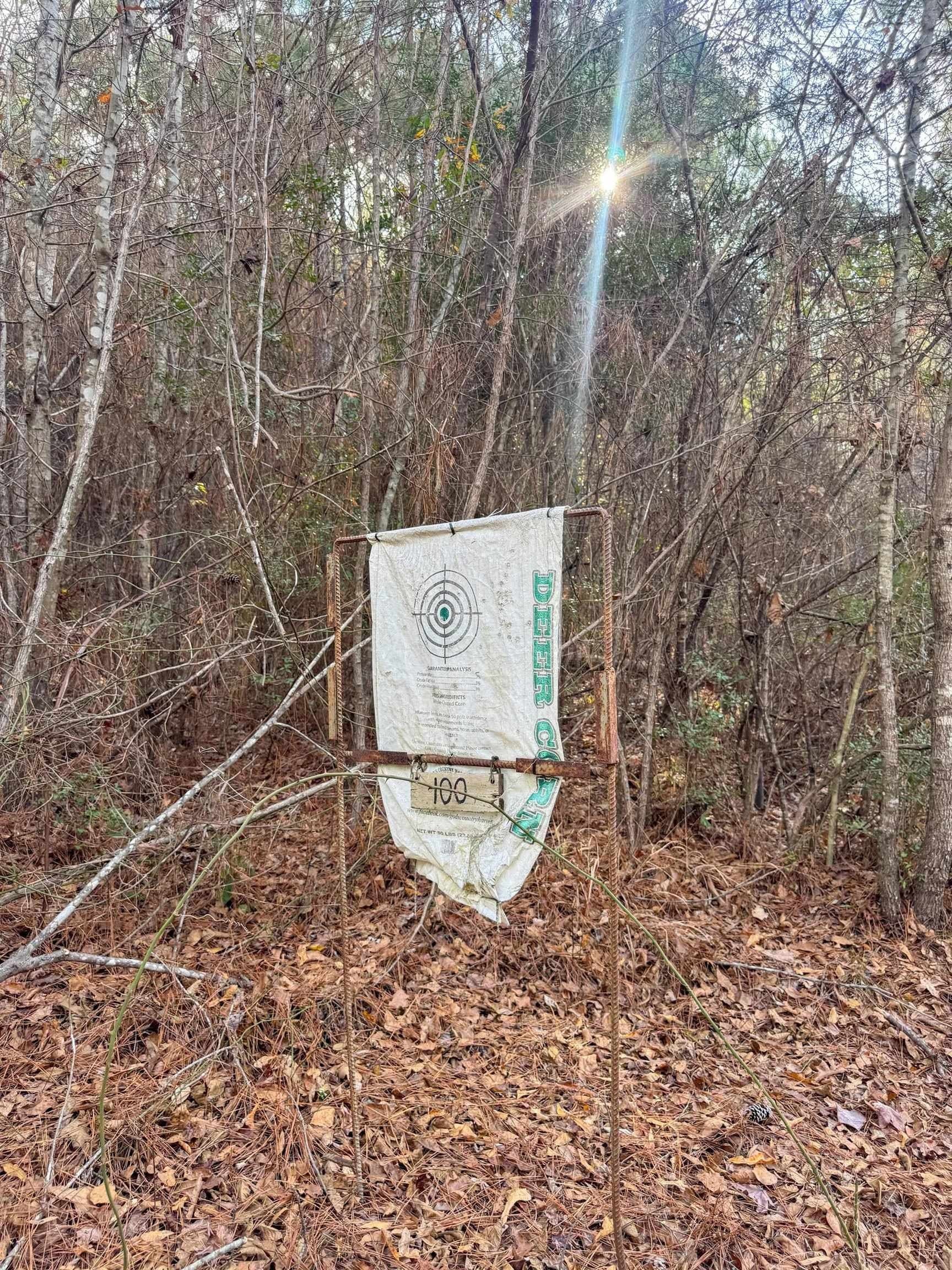 204.5 acres in Cass County - photo 41