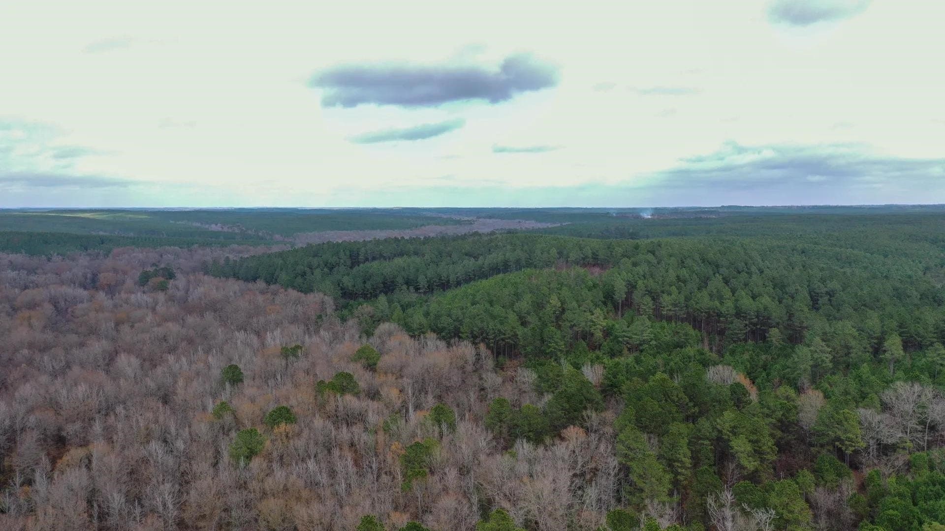 204.5 acres in Cass County - photo 18