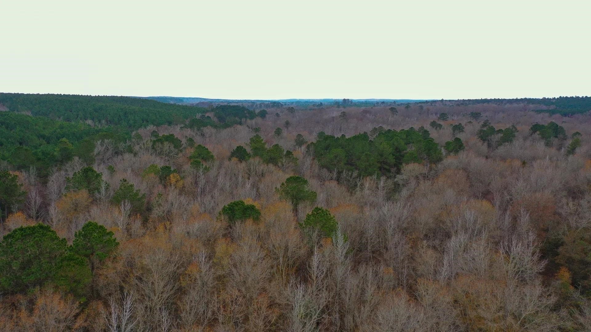 204.5 acres in Cass County - photo 14