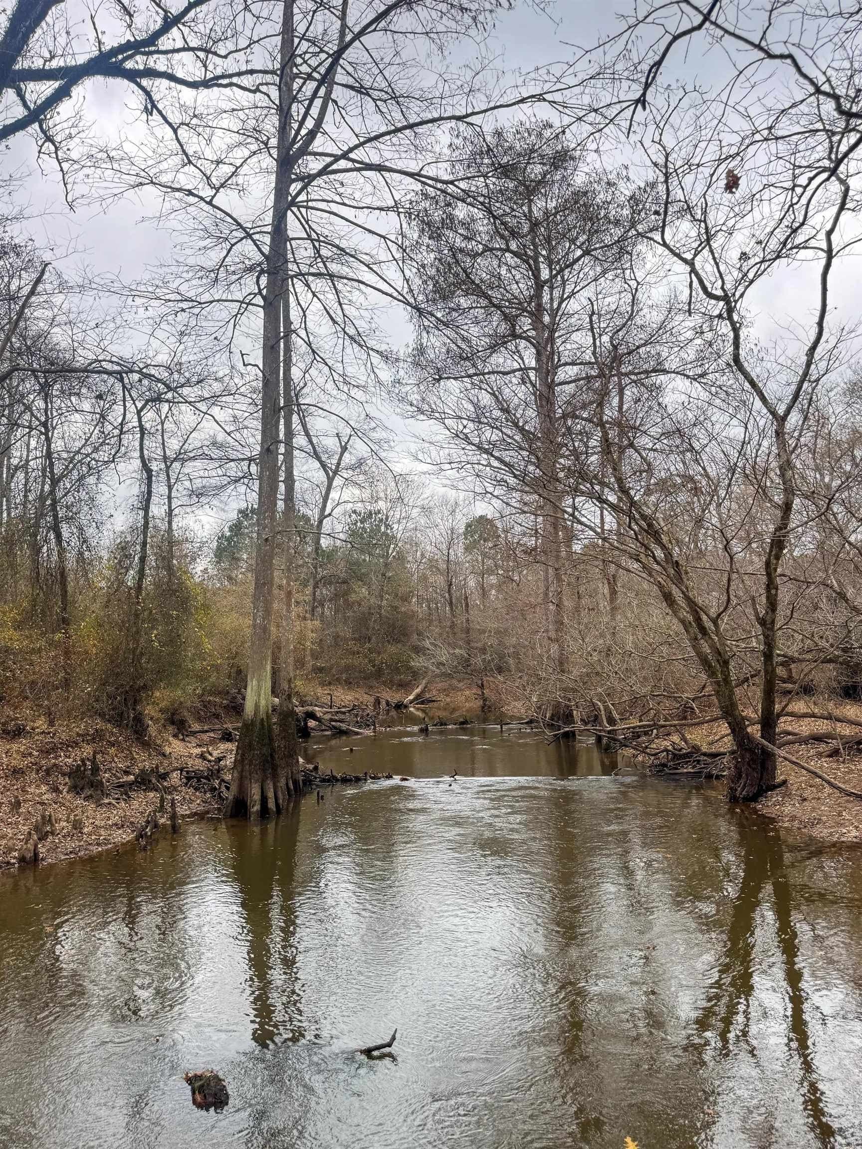 204.5 acres in Cass County - photo 31