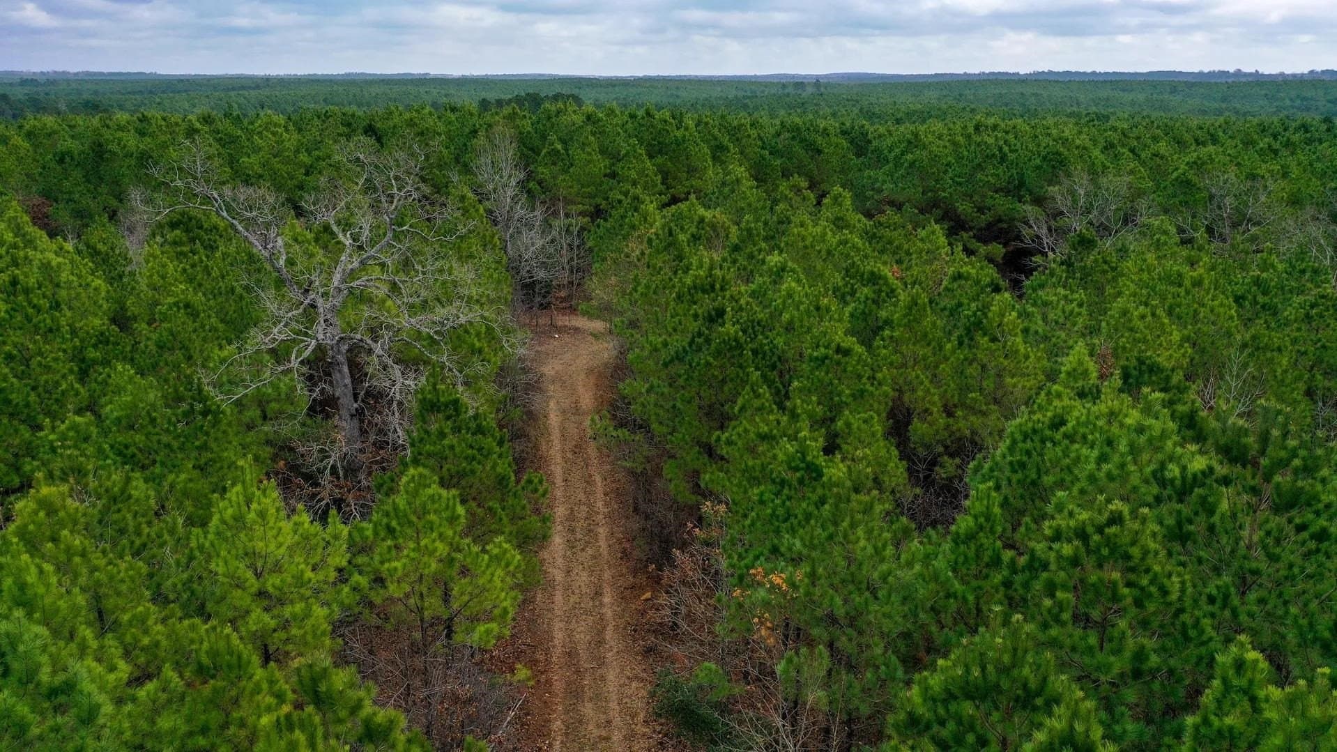 204.5 acres in Cass County featured view
