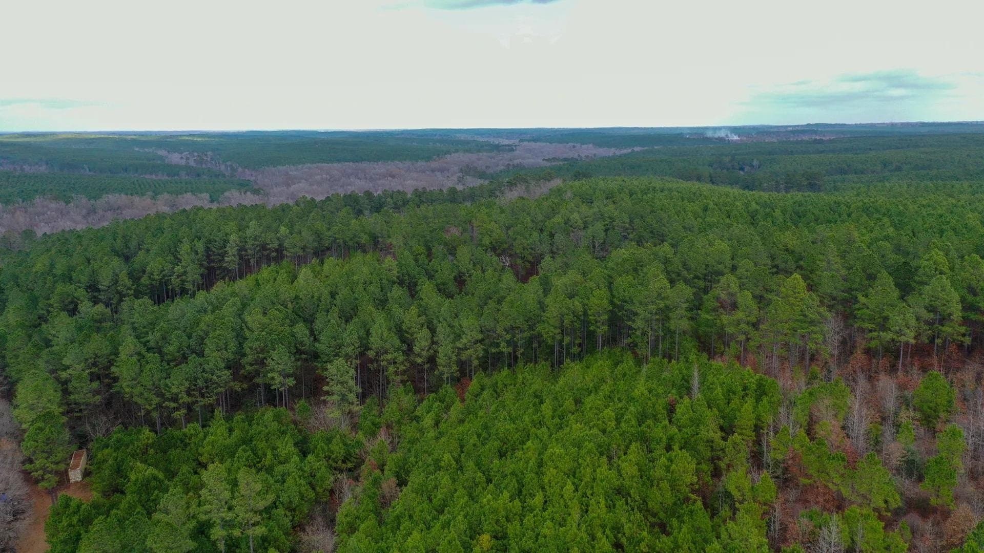 204.5 acres in Cass County gallery image 2