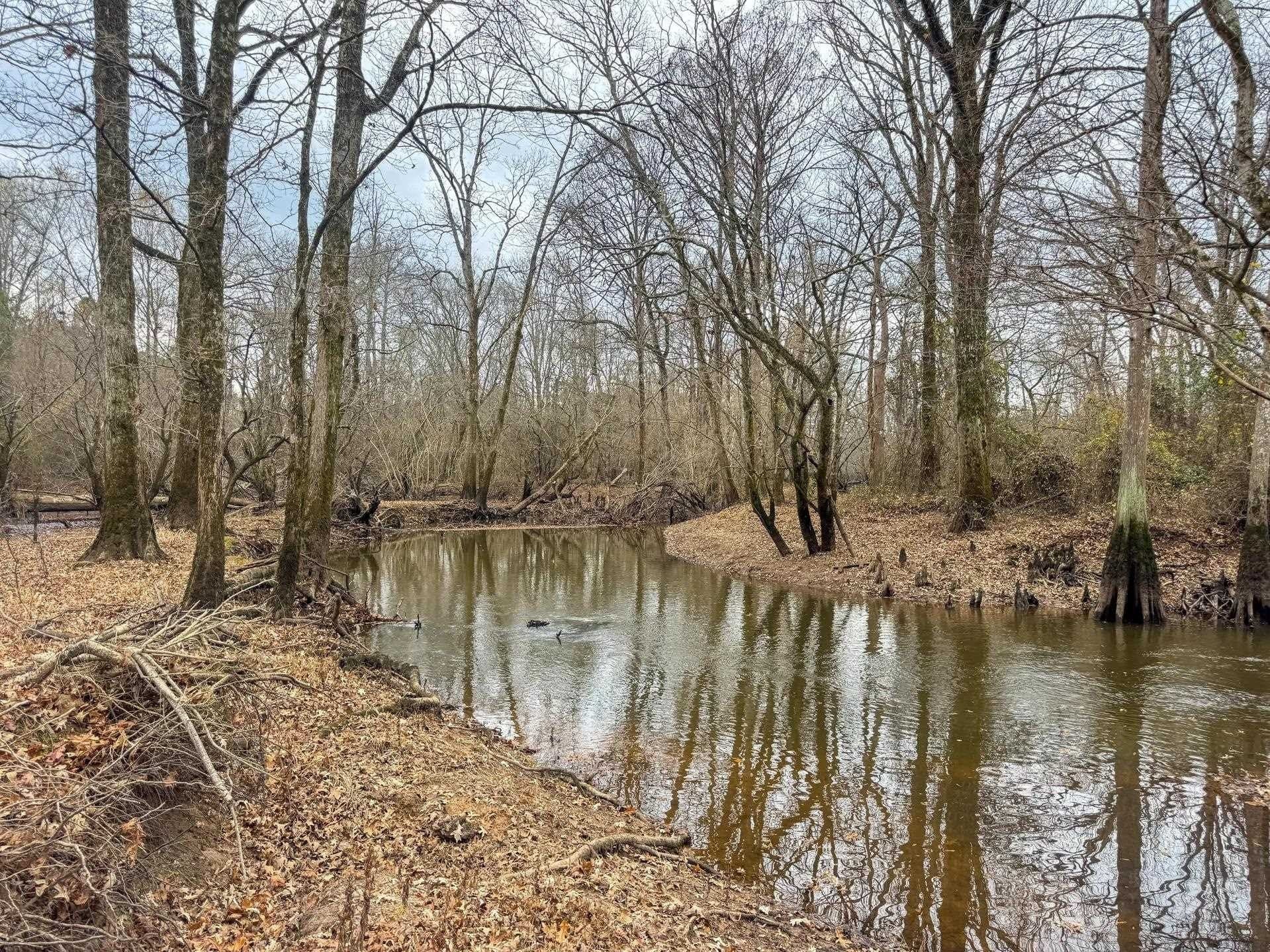 204.5 acres in Cass County - photo 29