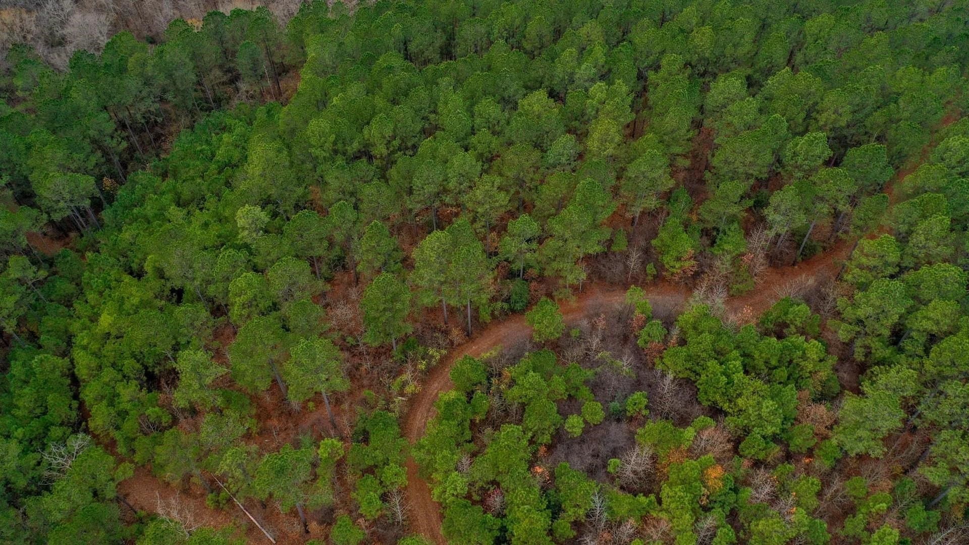 204.5 acres in Cass County gallery image 4