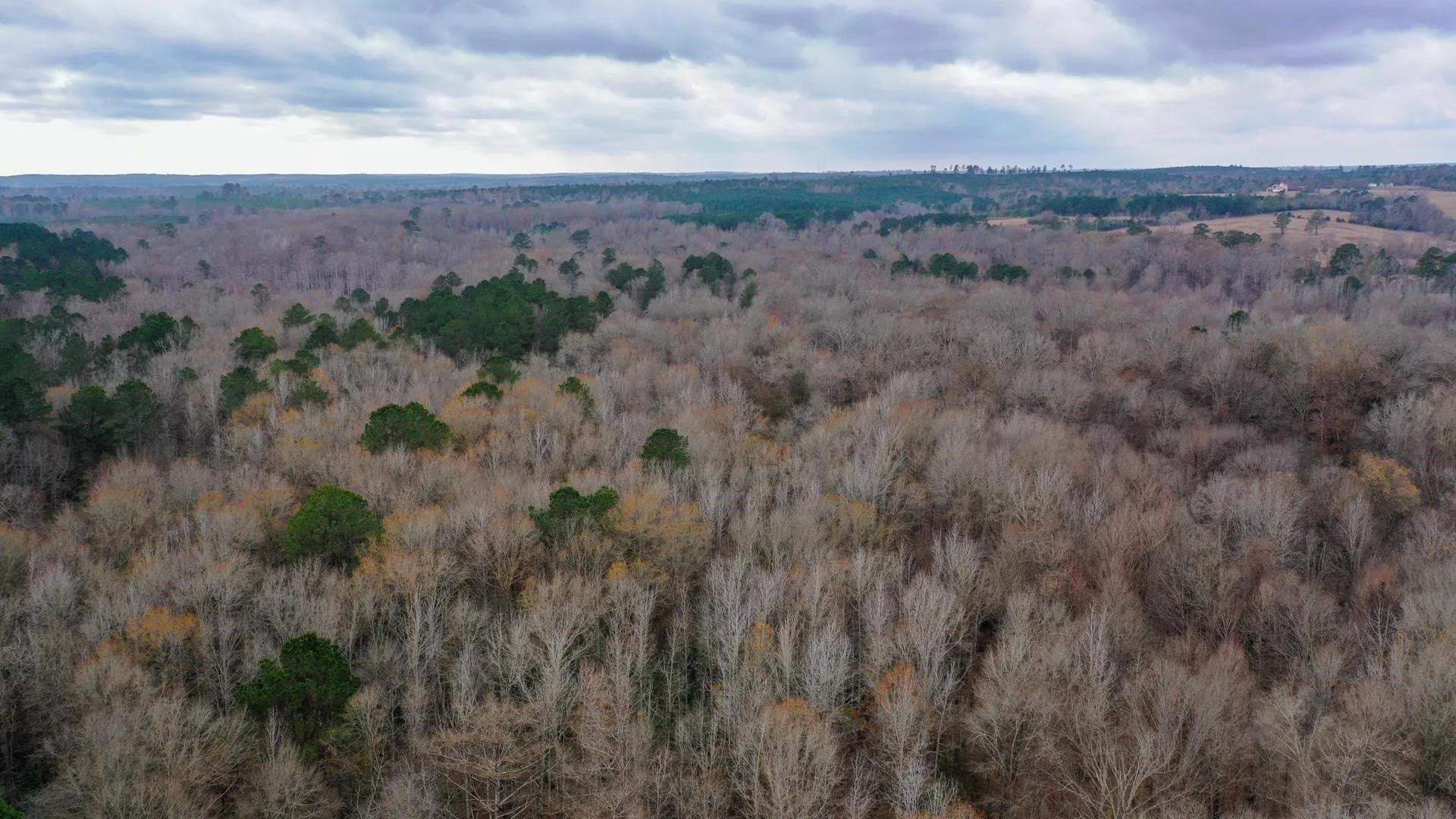204.5 acres in Cass County - photo 7