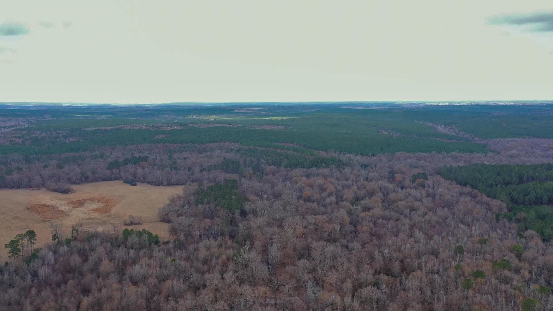 204.5 acres in Cass County - photo 16