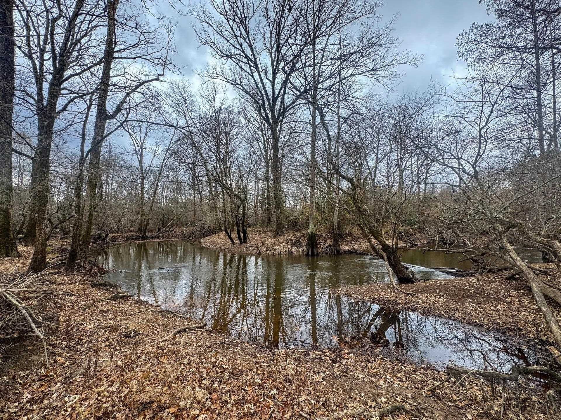 204.5 acres in Cass County - photo 30