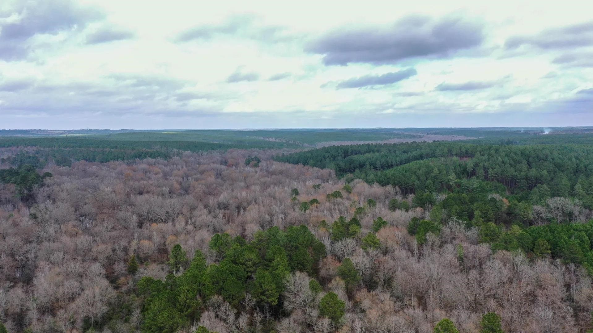 204.5 acres in Cass County