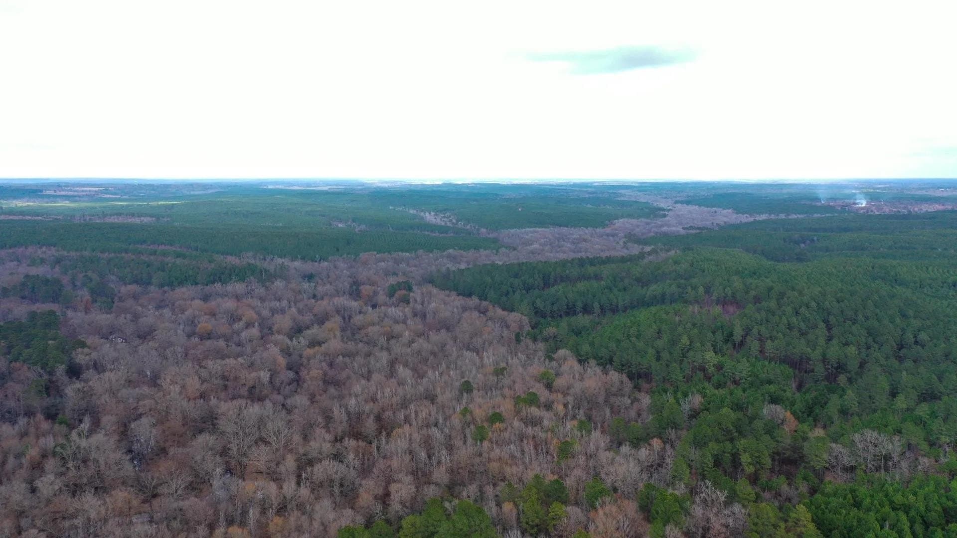 204.5 acres in Cass County - photo 17