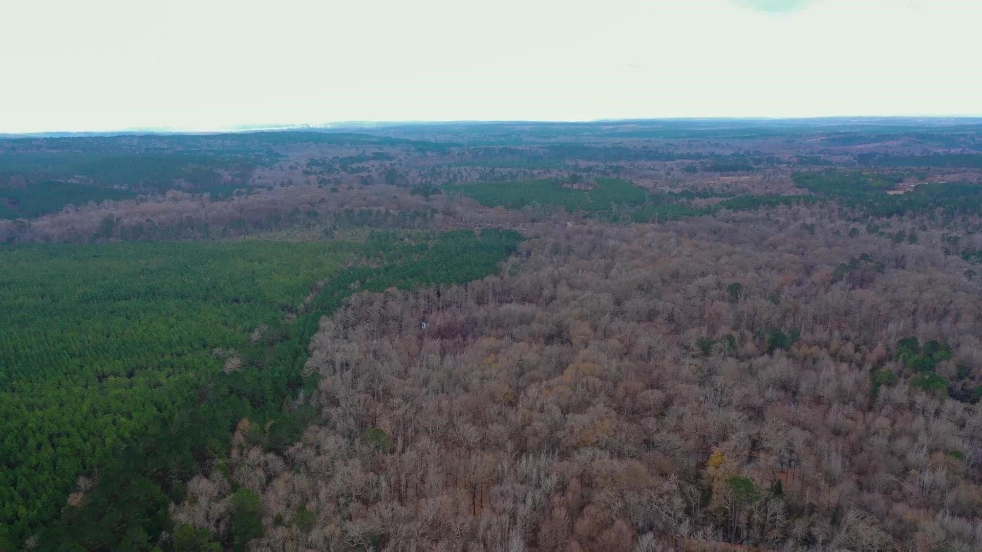 204.5 acres in Cass County - photo 15