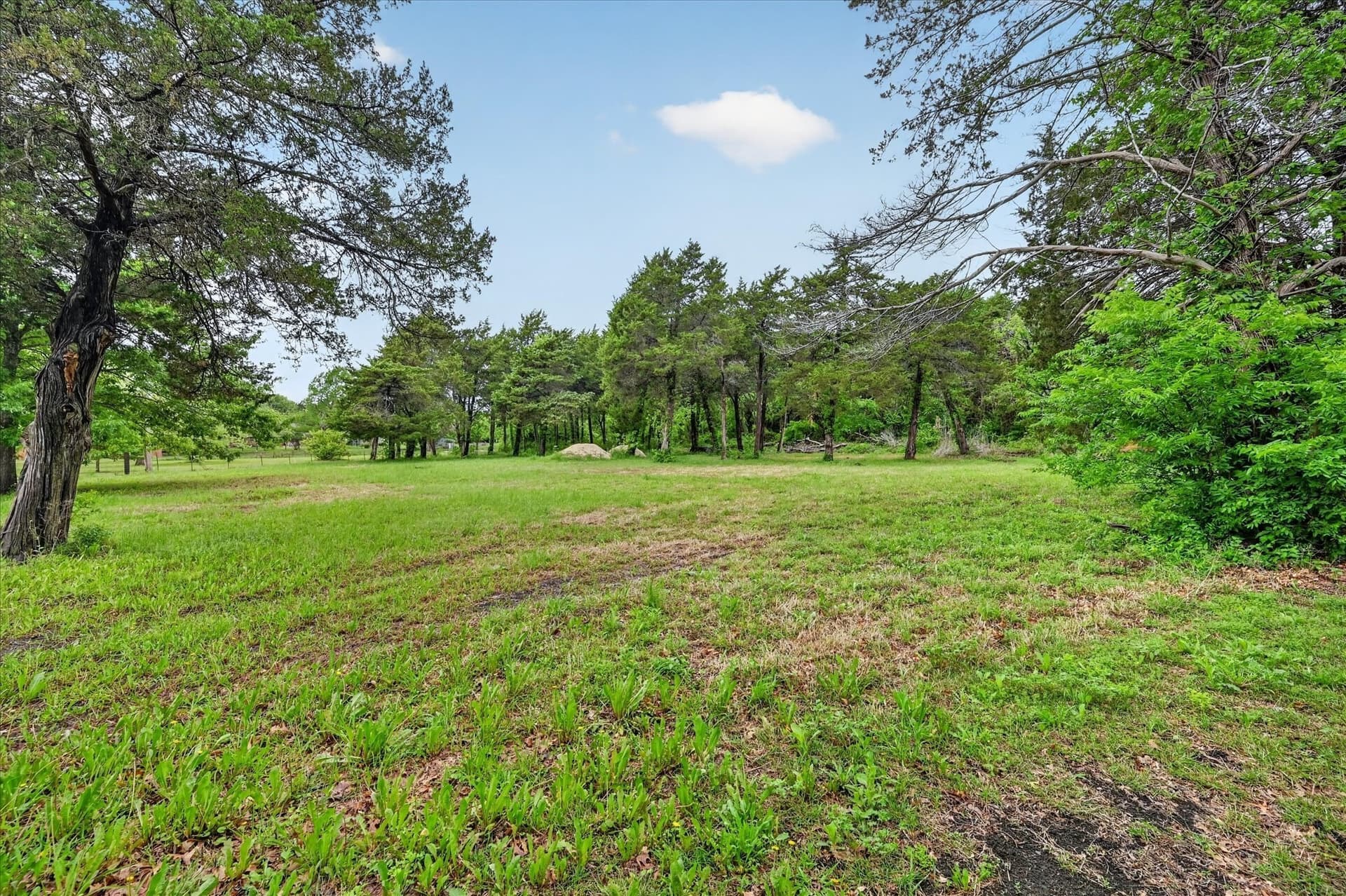 1.4 acres in Ellis County - photo 9