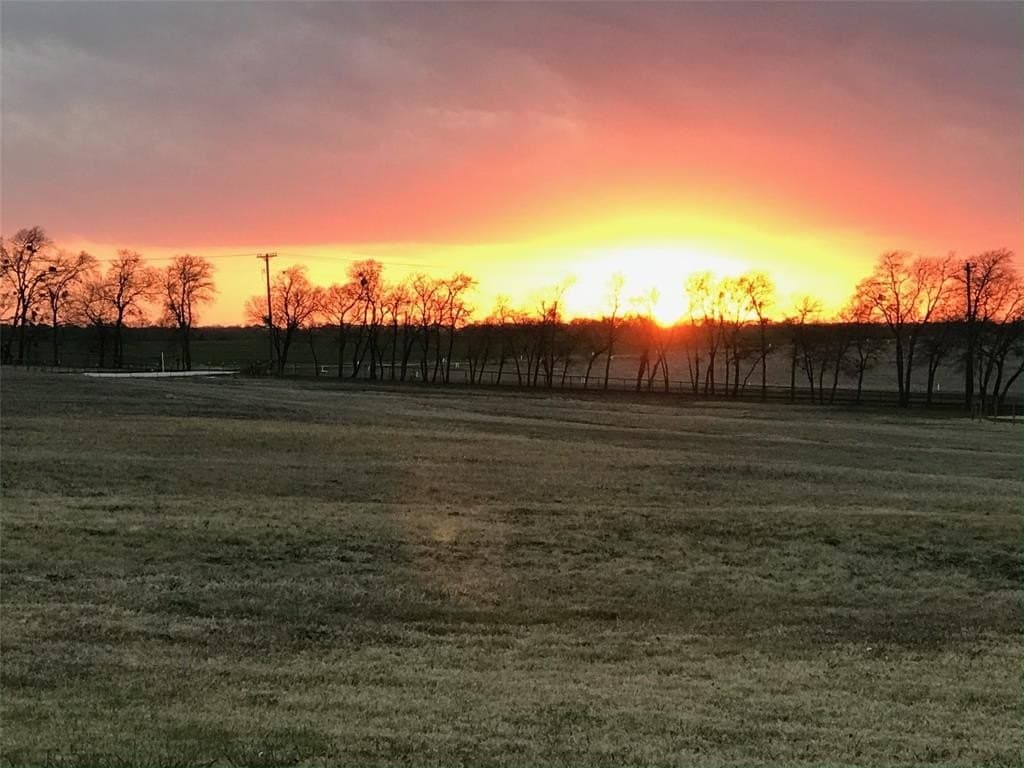 7 acres in Collin County gallery image 2