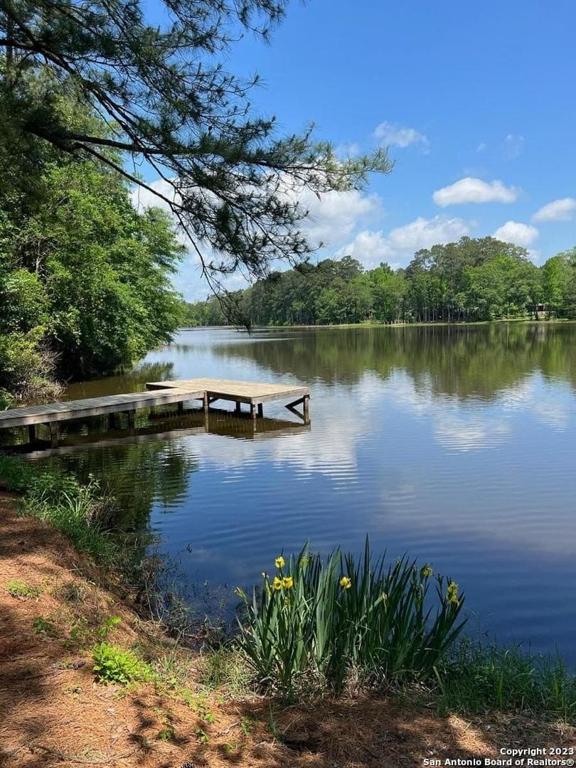 1.16 acres in Tyler County - photo 7