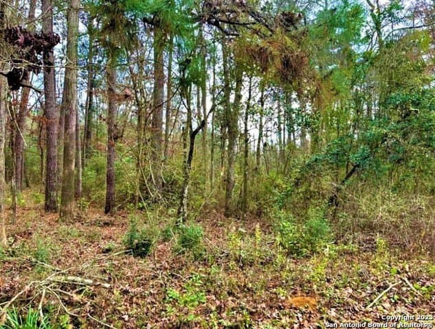 1.16 acres in Tyler County - photo 4