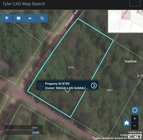 1.16 acres in Tyler County - photo 3
