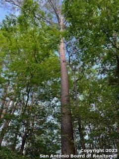 1.16 acres in Tyler County - photo 5