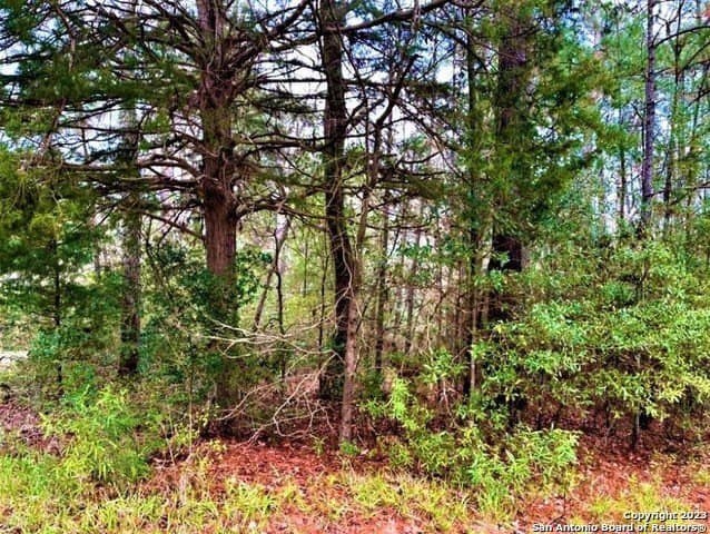 1.16 acres in Tyler County