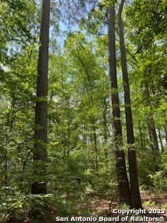 1.16 acres in Tyler County - photo 2