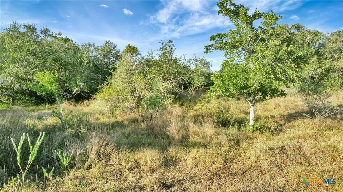250 acres in Jackson County - photo 11
