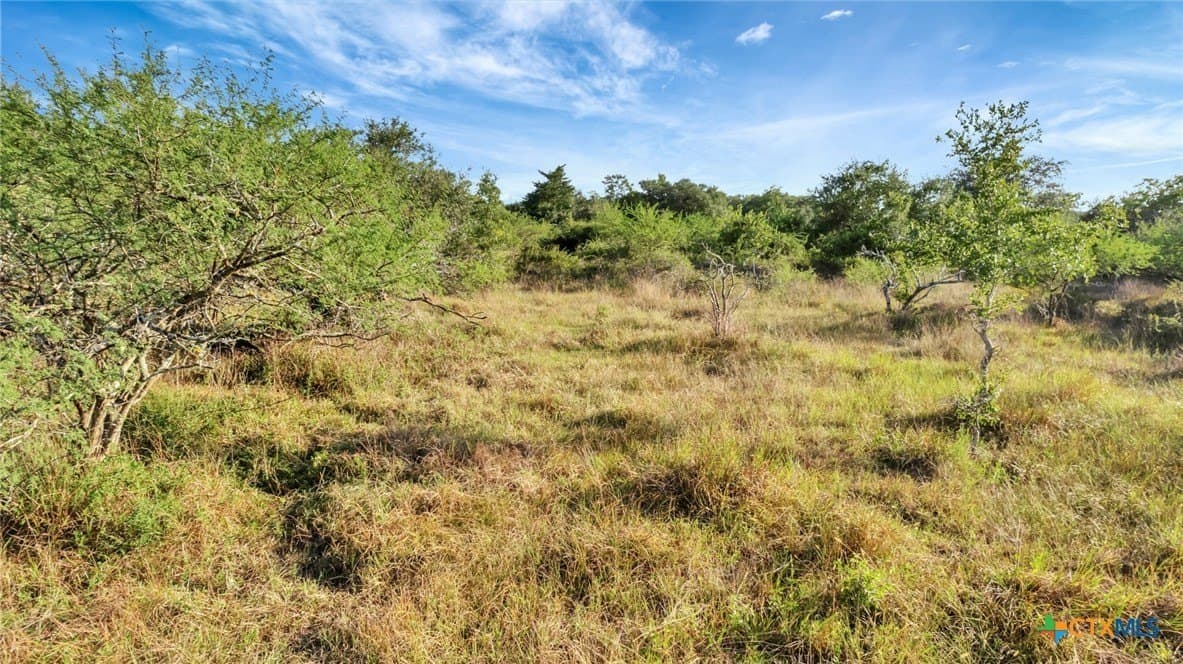 250 acres in Jackson County - photo 14