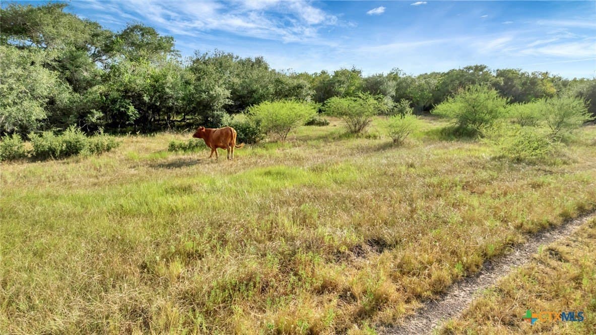 250 acres in Jackson County - photo 25