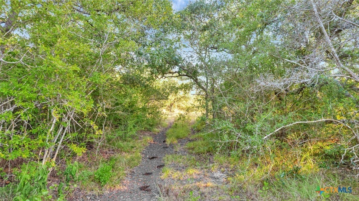 250 acres in Jackson County - photo 38