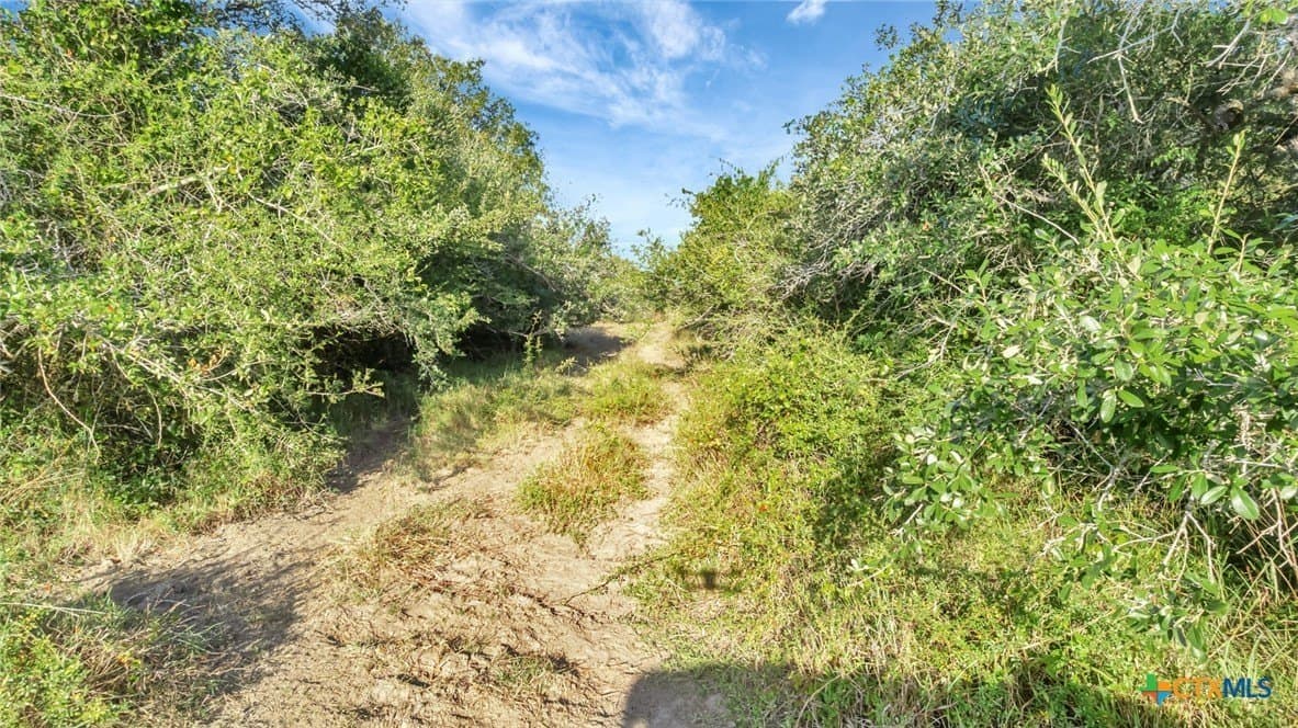 250 acres in Jackson County - photo 10