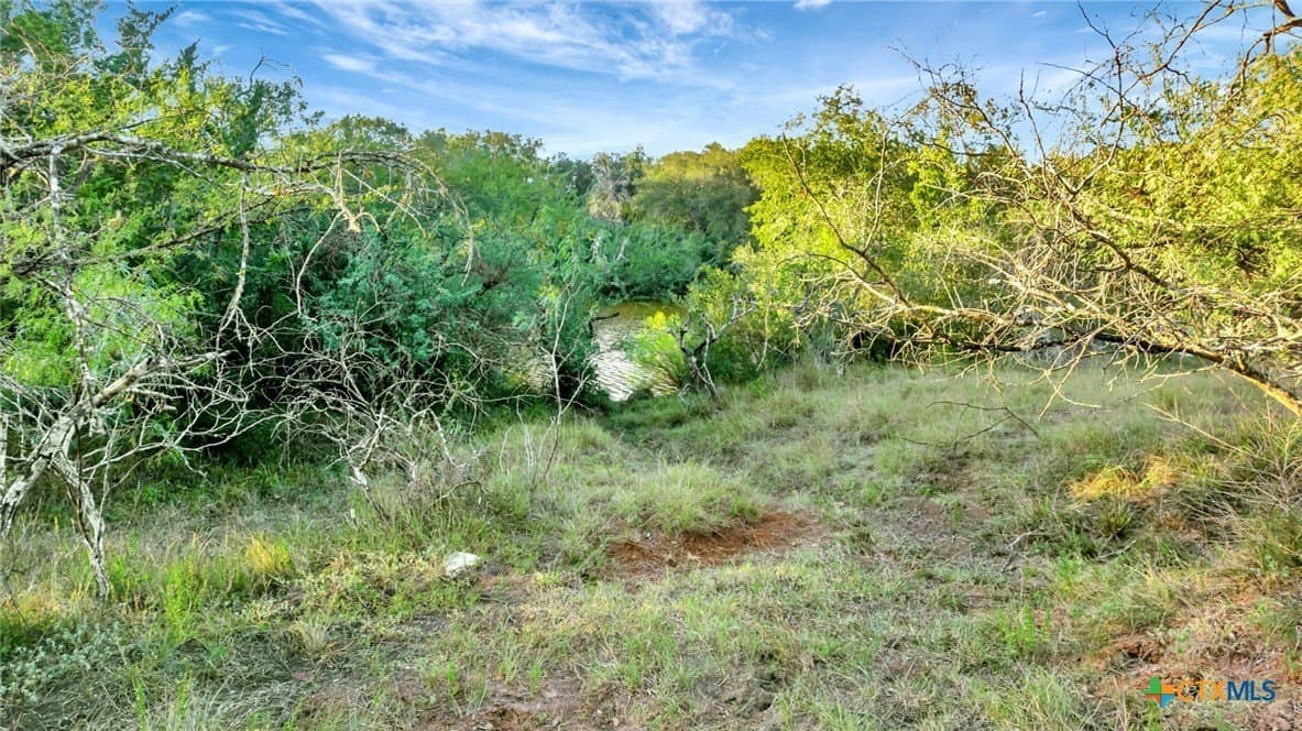 250 acres in Jackson County - photo 37