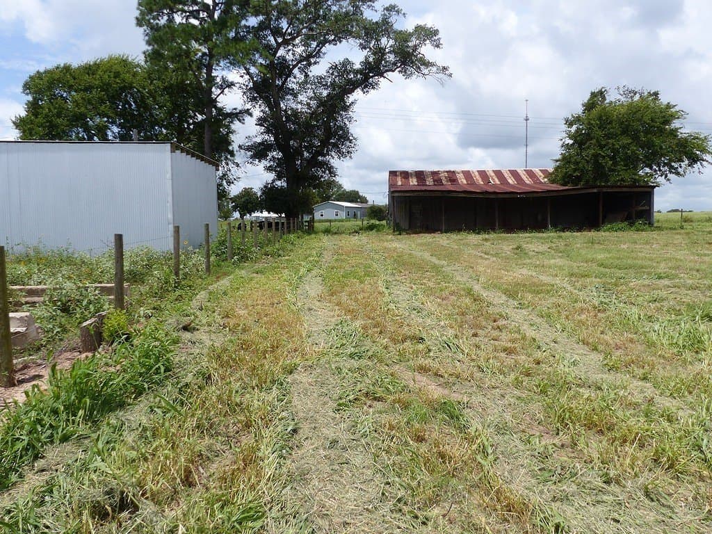 0.58 acres in Austin County gallery image 4