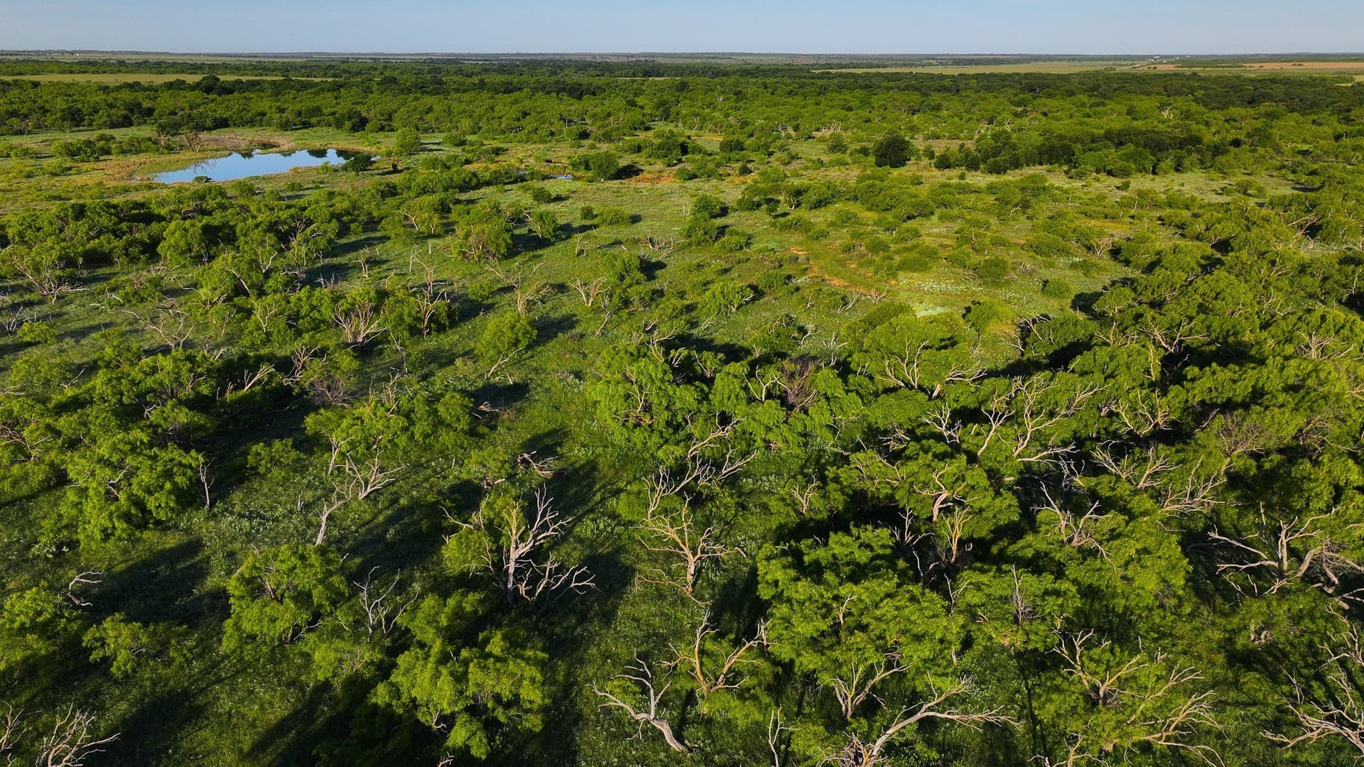 355 acres in Archer County - photo 20