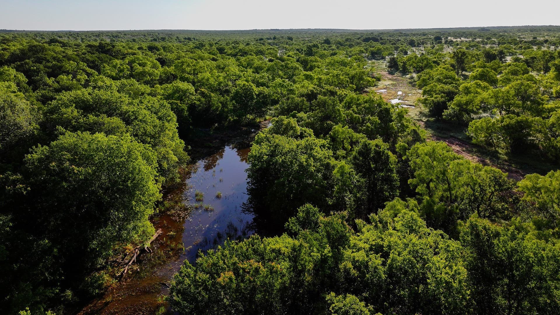 355 acres in Archer County - photo 34