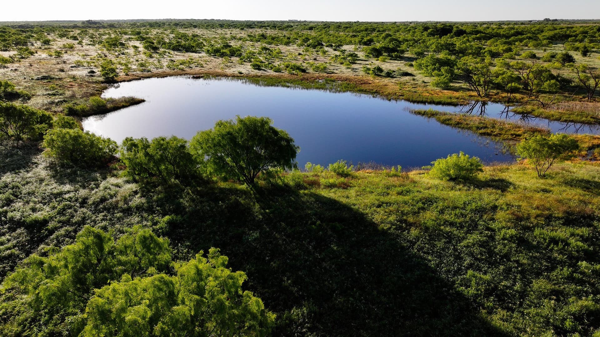 355 acres in Archer County - photo 5